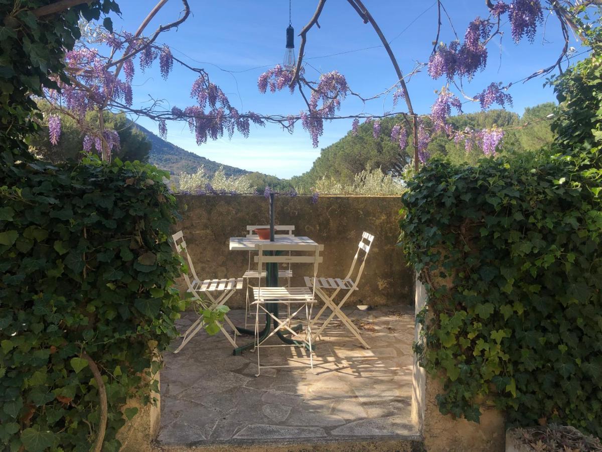 La Picholine En Provence 3* Nyons