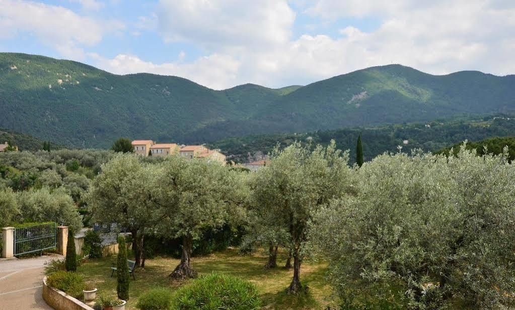 La Picholine En Provence